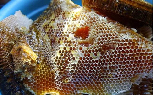 Sự thật về mật ong giả, mật ong thật, mật ong rừng, mật ong nuôi, mật ong đóng đường... 